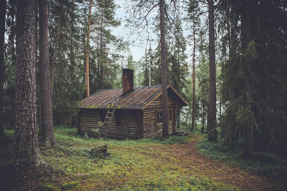 Cabaña en un bosque